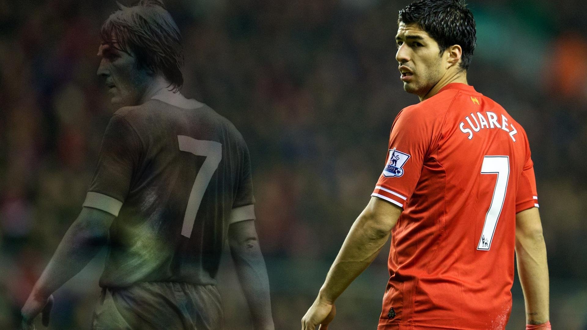 弗朗索瓦·斯图尔特：南非队战术体系中的稳定力量，攻守兼备，弗朗索瓦德尔萨特